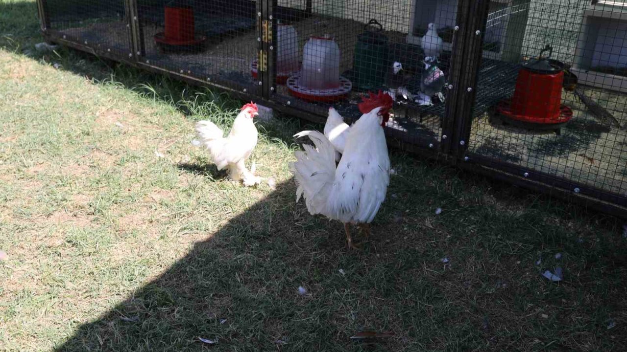 Engelsiz Yaşam Merkezi’nden yeni rehabilitasyon uygulaması