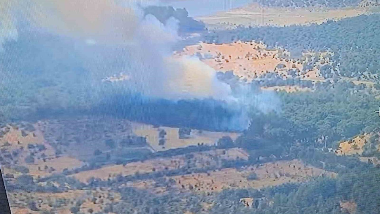 Ayvacık’ta ormanlık alanda yangına, müdahale devam ediyor