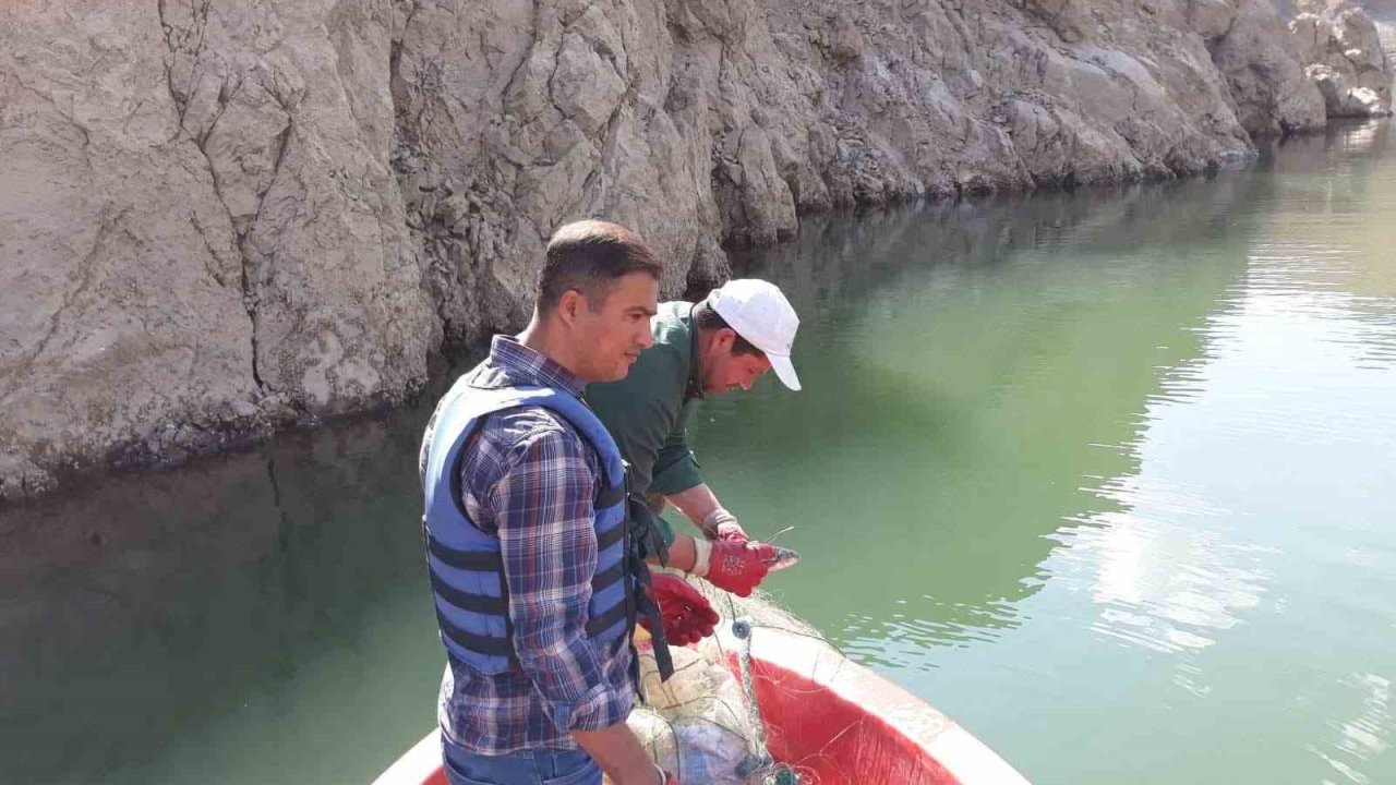 Van’da sazangiller av yasağı sona erdi