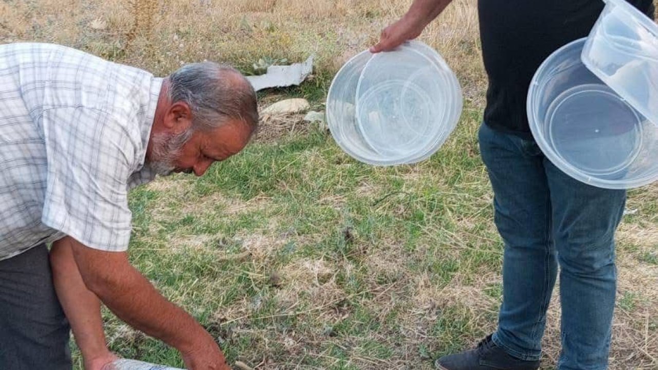 Mahalle muhtarından sokak hayvanlarına yönelik örnek çalışma