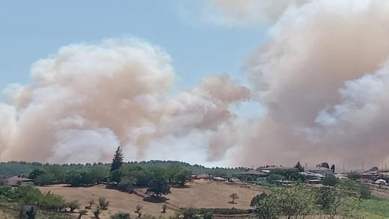 Kocaeli’de orman yangını başladı