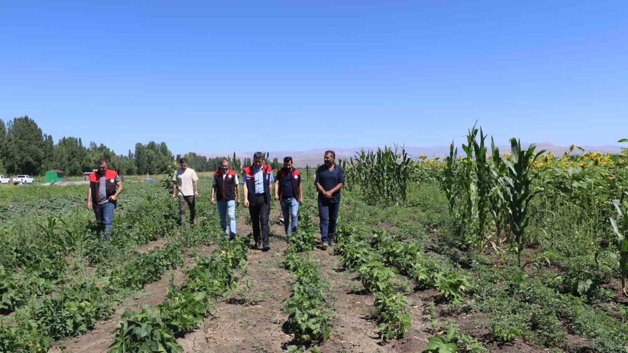 Ağrı’da hibeli sebze fidesi desteği denetimleri sürüyor