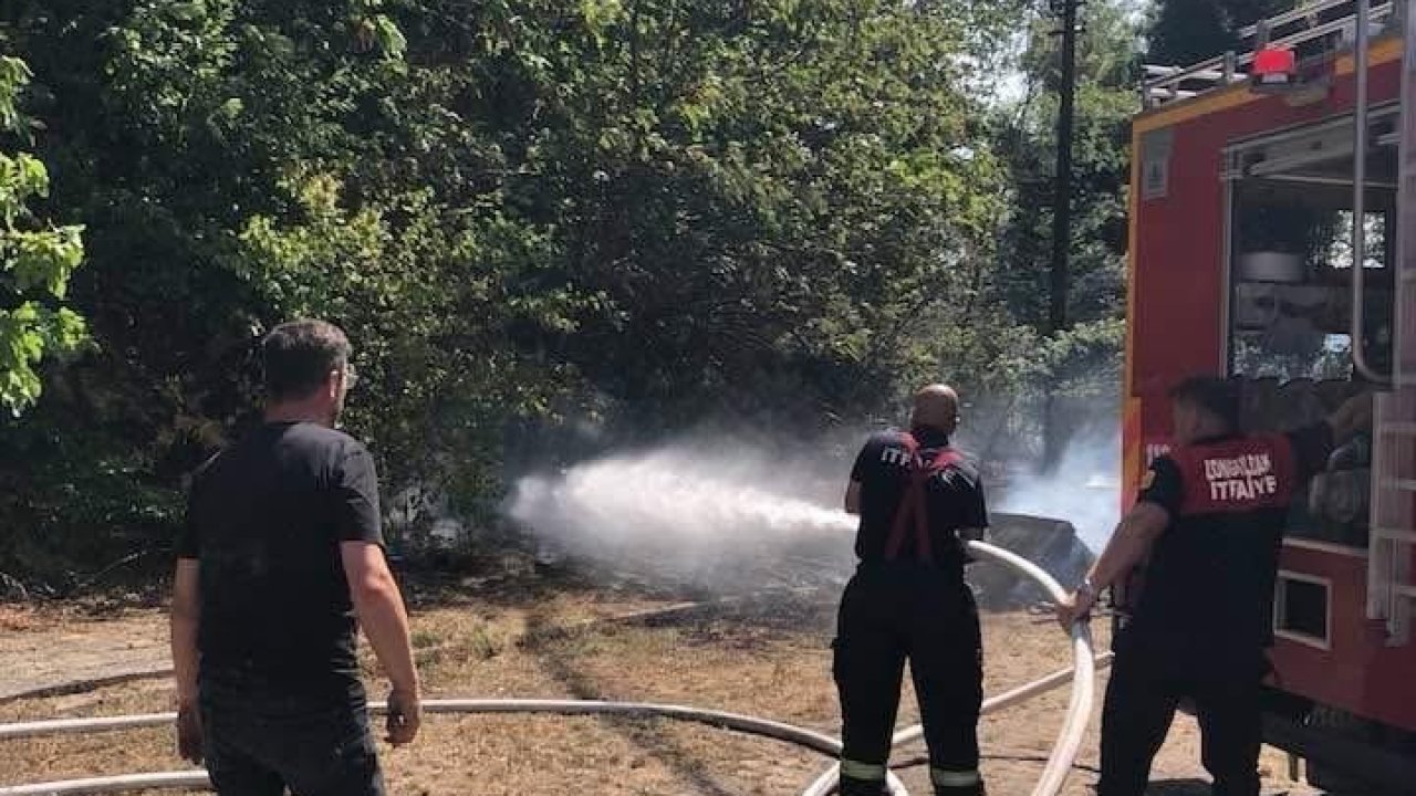 Ormanlık alanda yangın