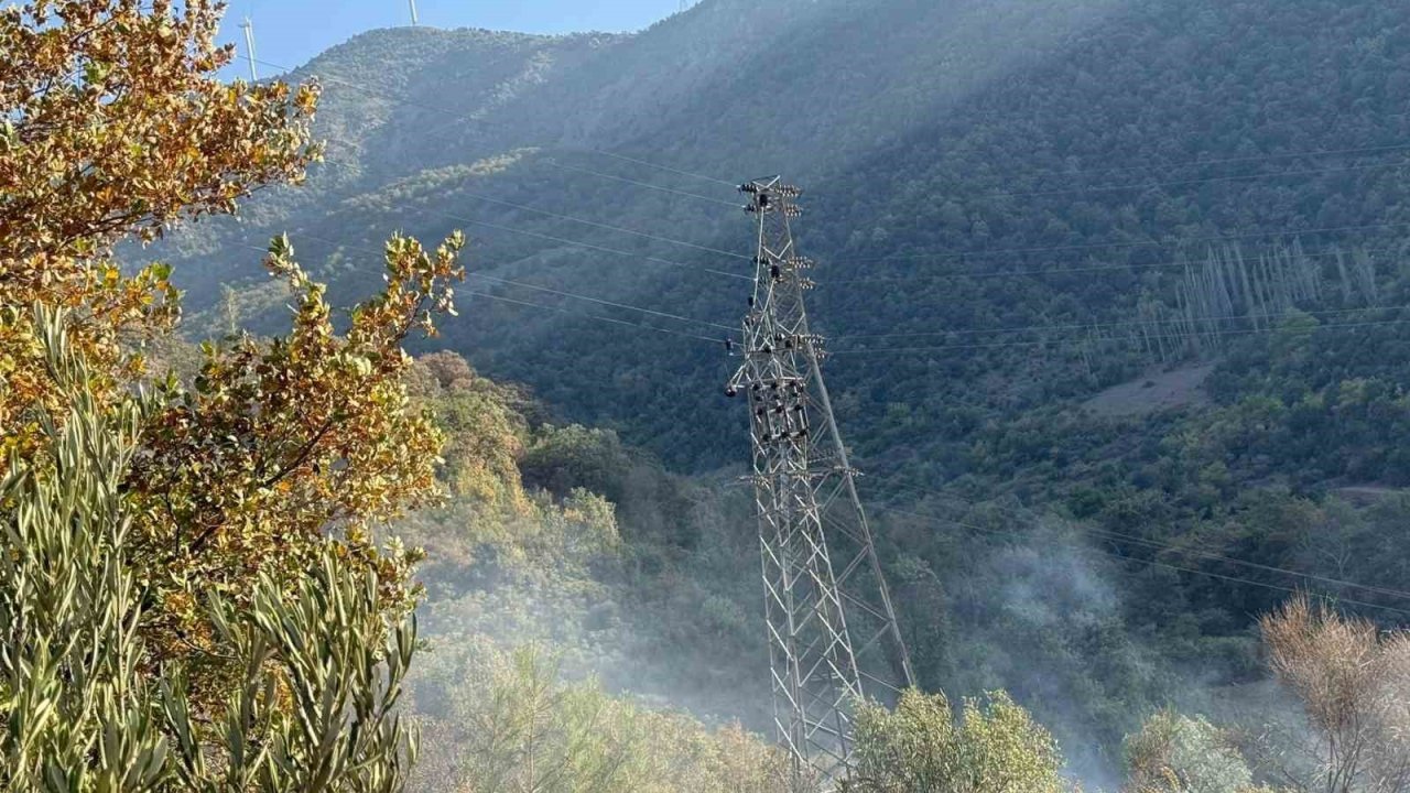 Osmaniye’de orman yangını