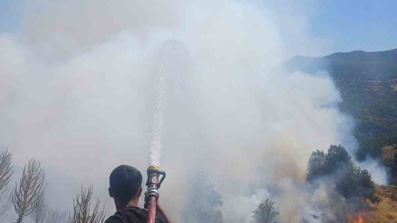 Bingöl’de kırsal alanda çıkan yangın söndürüldü