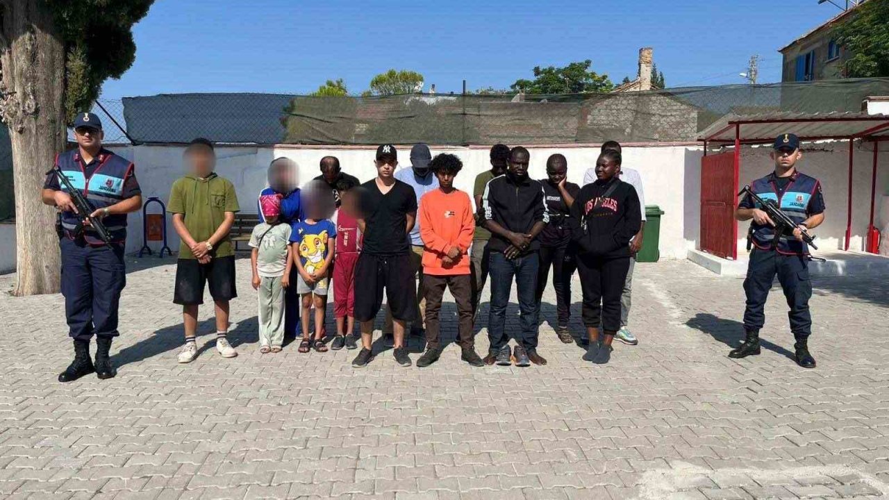 Zeytinlik alana saklanan 16 düzensiz göçmen yakalandı