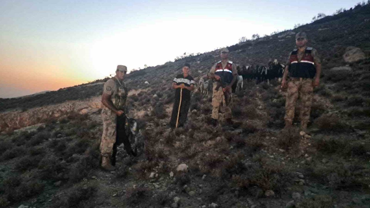 Kilis’te kaybolan 26 küçükbaş hayvan bulundu