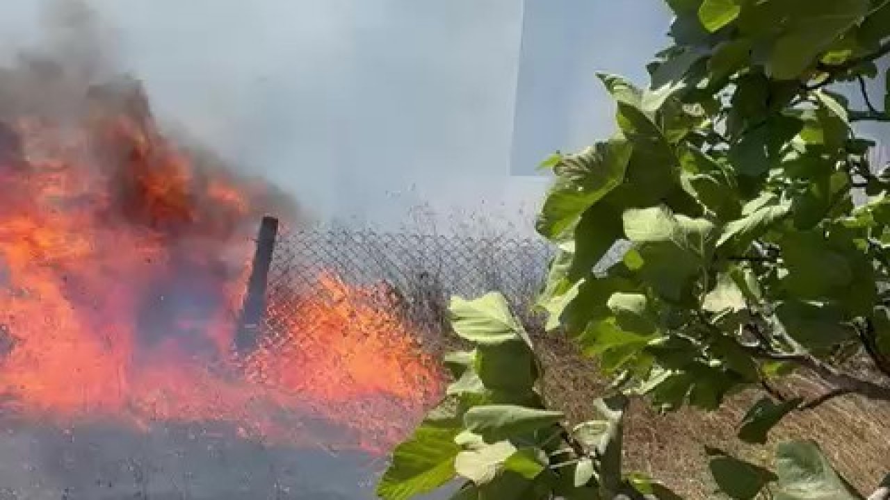 Karmürsel’den sonra Kandıra’da da yangın başladı