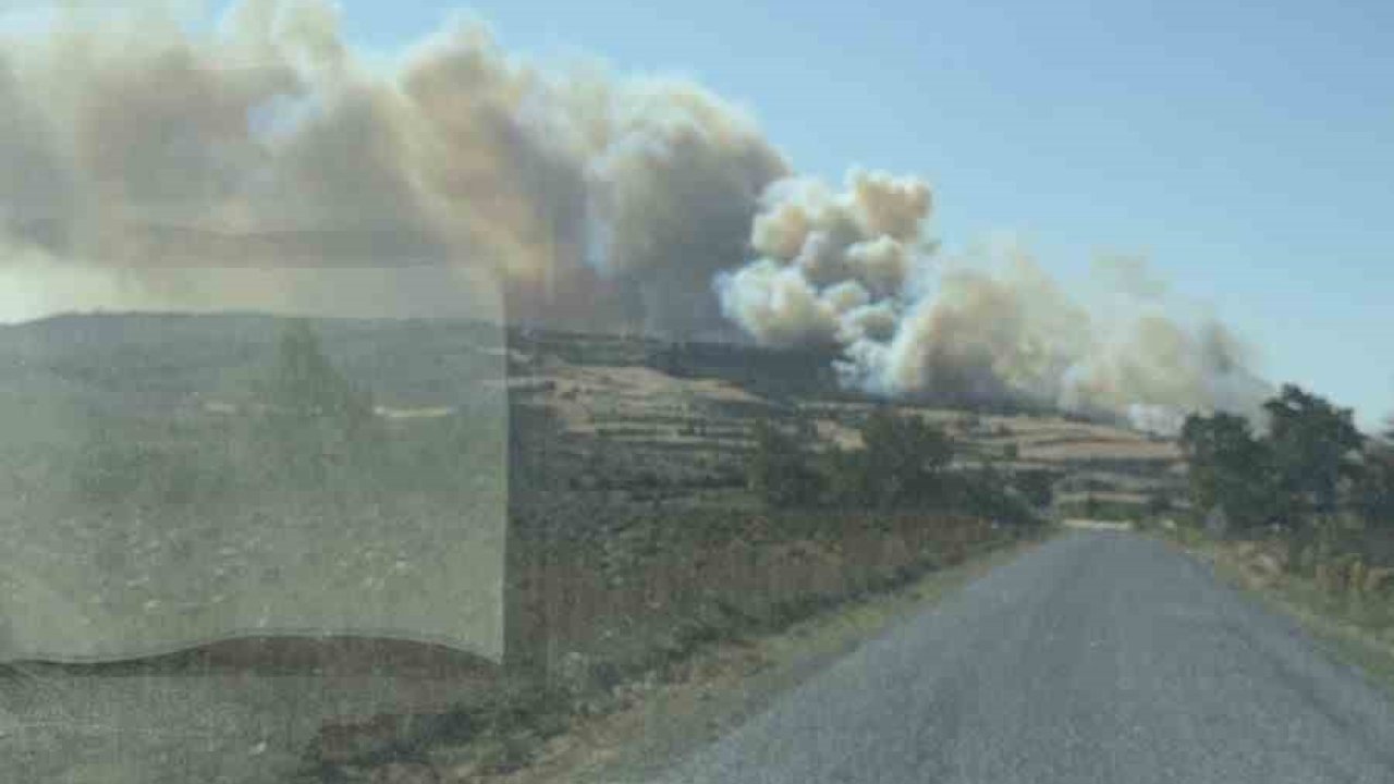 Gelibolu’da orman yangını