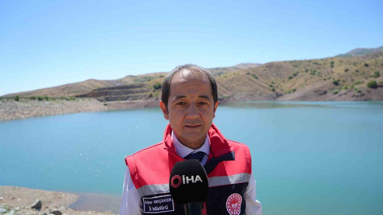 Erzincan’da Göyne Barajına 200 bin yavru sazan balığı bırakıldı