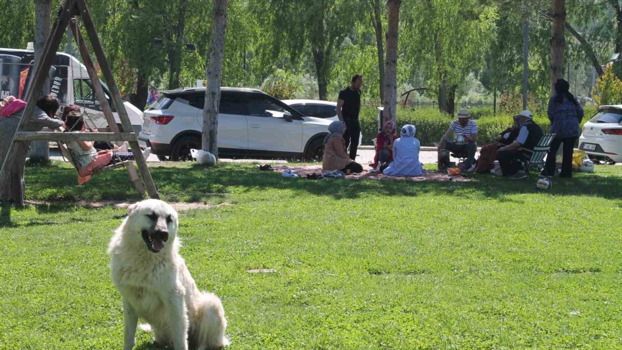 Bayburt’ta hafta sonu mesire alanları piknikçilerle doldu
