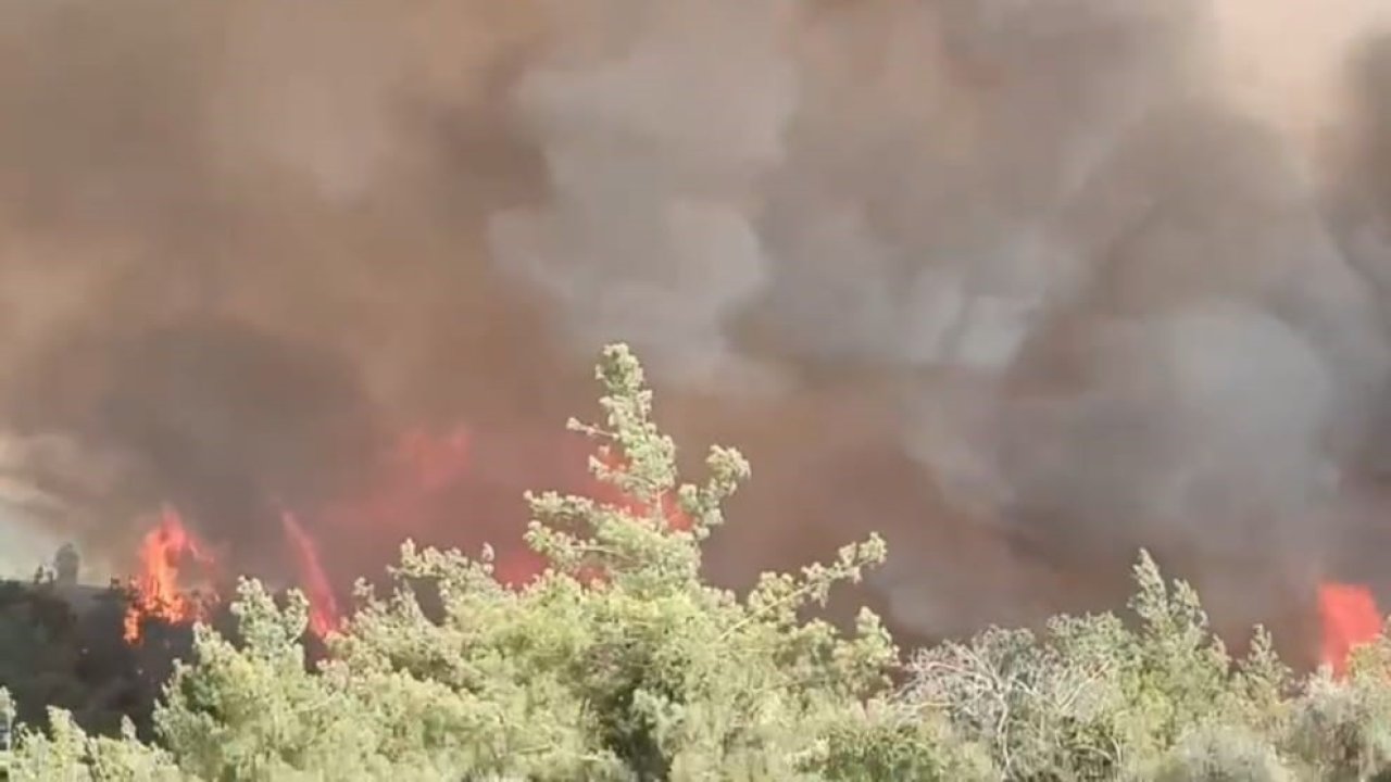 Adana’da orman yangını