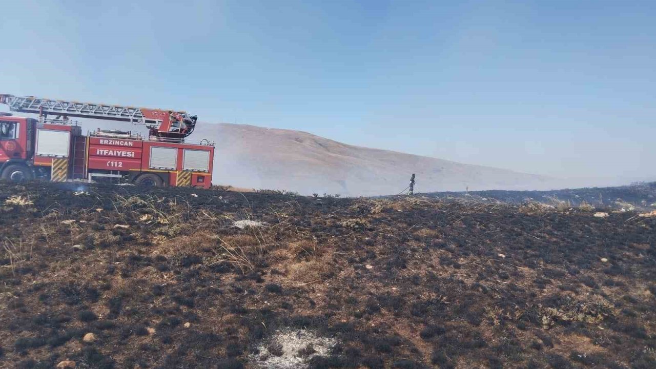 Ahmediye Geçidinde örtü yangını söndürüldü