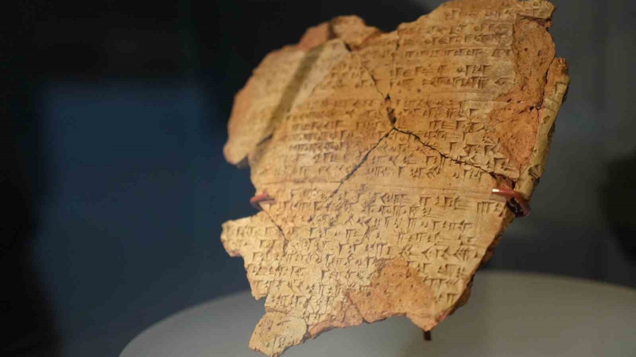 3 bin yıllık fındığın bulunduğu kutsal şehirdeki kazılar 20. yıla ulaştı