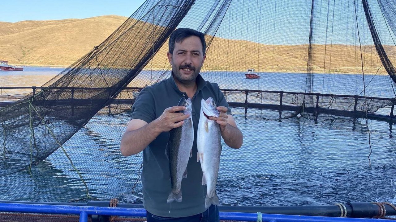 Demirözü Göletinde yetişen Alabalıklar Somon oldu