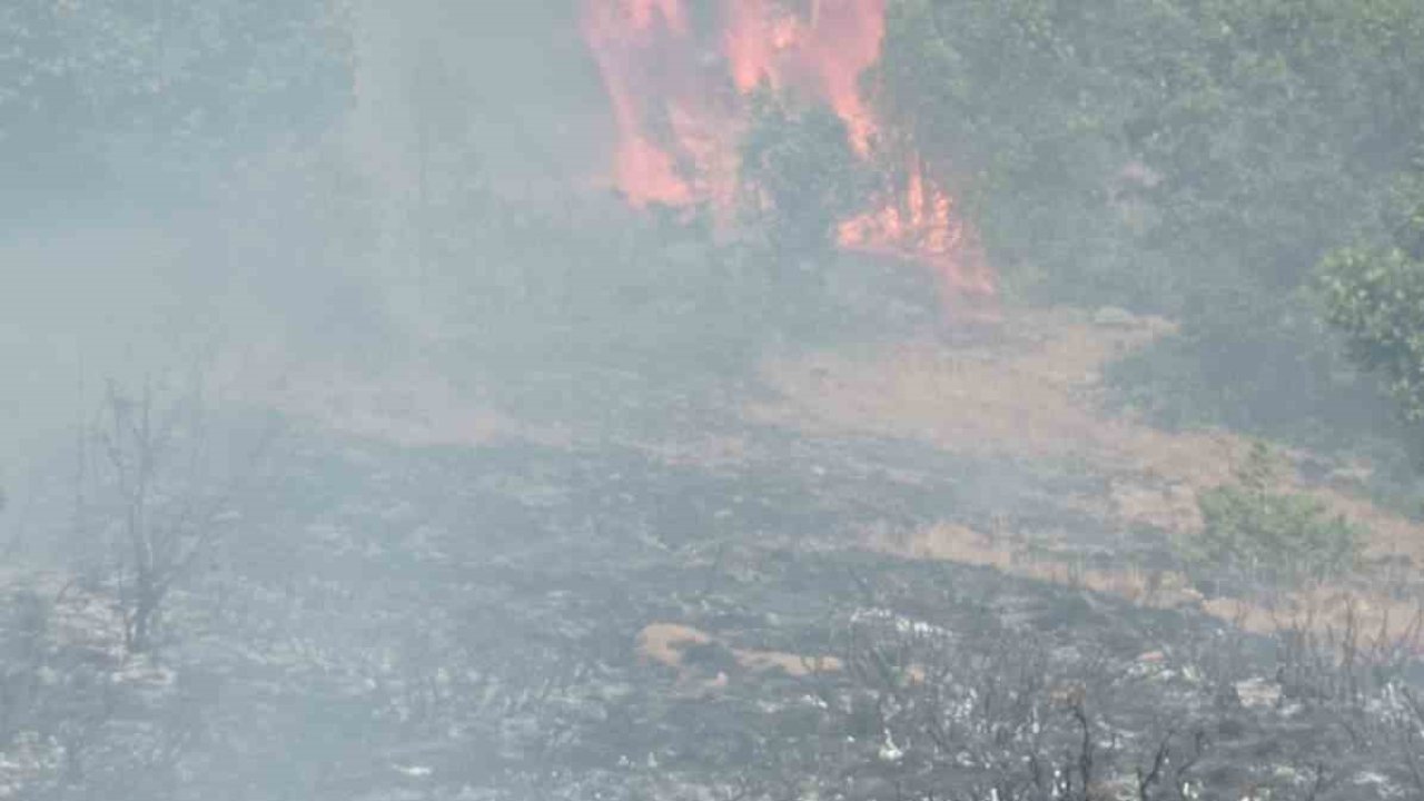 Gümüşhane’de çobanın yaktığı ateş yangına sebep oldu