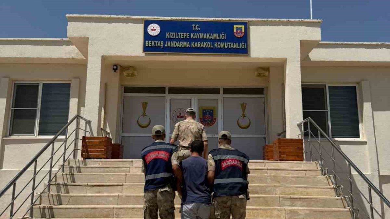 Mardin’de hayvanlara ilişkin uygunsuz paylaşım yapan şahıs gözaltına alındı