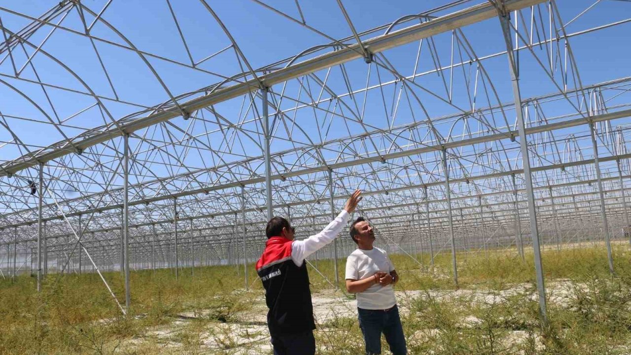 Erzincan’da jeotermal sera yatırımları devam ediyor