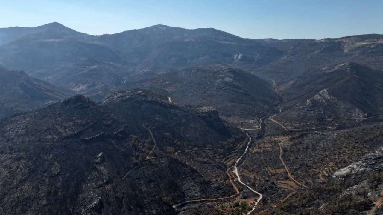 Orman yangınından geriye kalan acı manzara: 15 bin dönümden fazla alan küle döndü