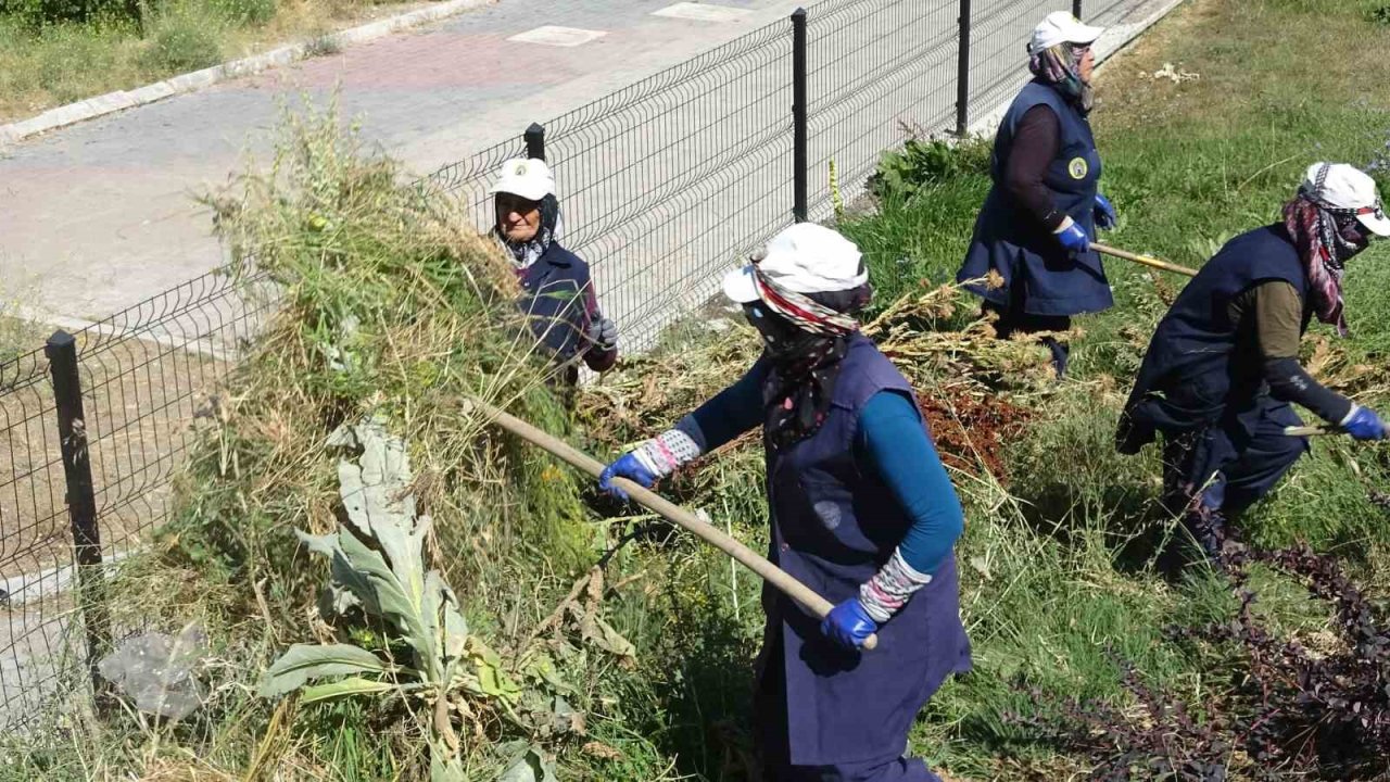 Tavşanlı’da kadın işçilerin sıcağa karşı mücadelesi