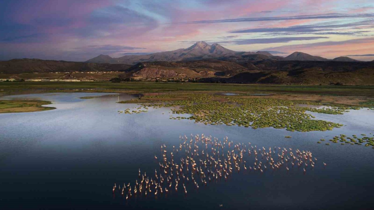 Hacılar’da doğaseverler için saklı cennet: Hürmetçi Sazlığı