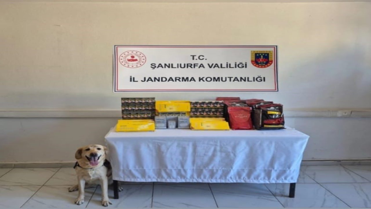 Şanlıurfa’da uyuşturucu operasyonu: 6 gözaltı