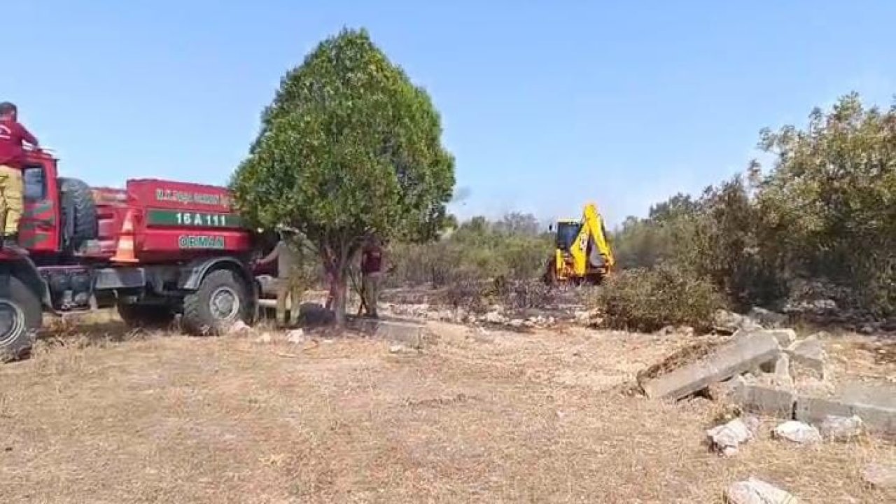 Bursa Nilüfer’deki orman yangını kontrol altına alındı