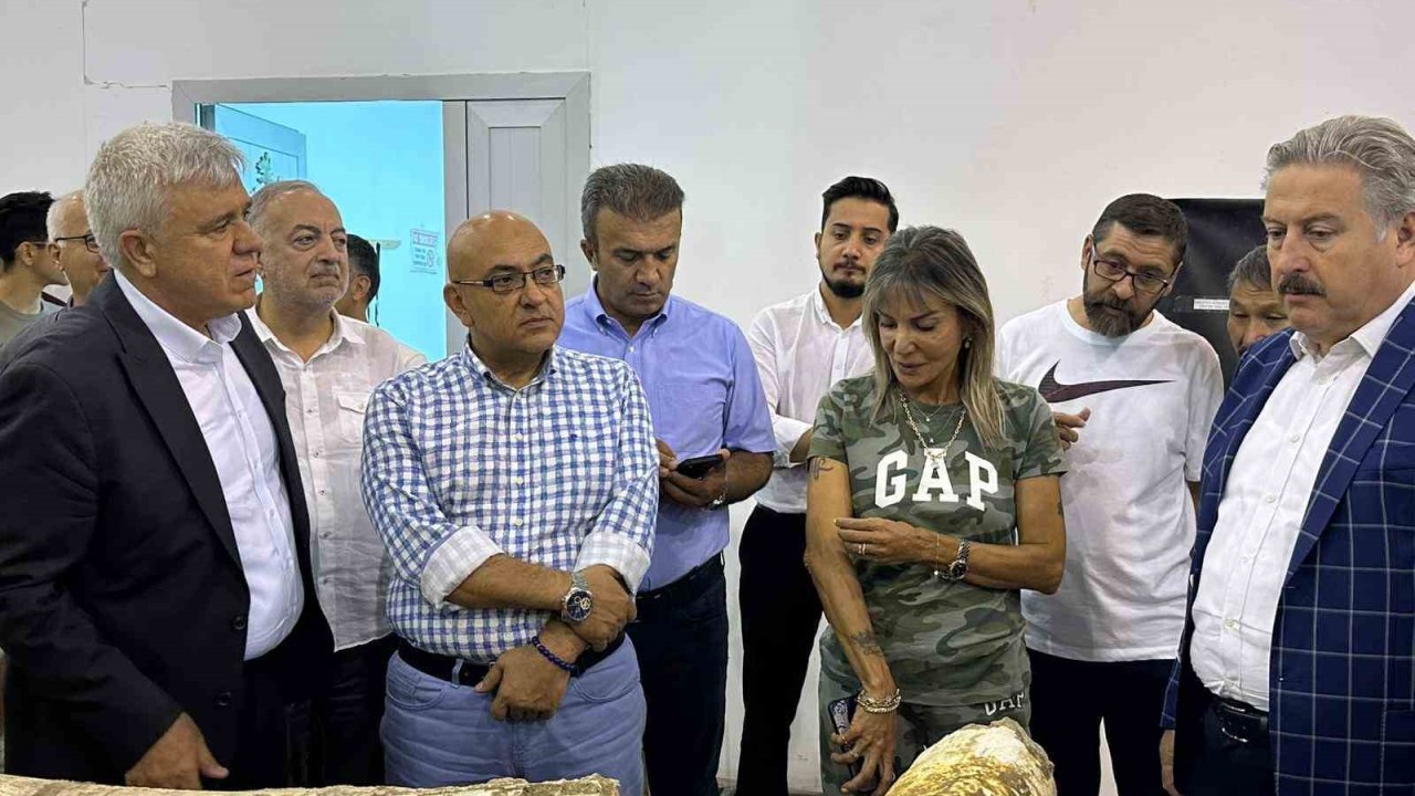 7,5 milyon yıllık fosil çalışmalarında gelinen nokta değerlendirildi