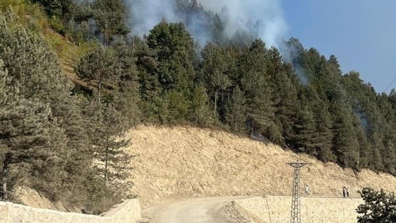 Türkeli’de ormanlık alanda örtü yangını