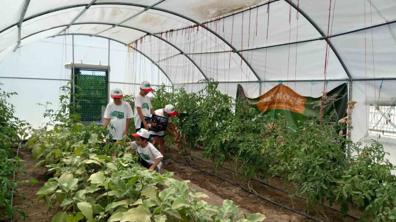 Önce öğrenip üretiyorlar, sonra yiyorlar