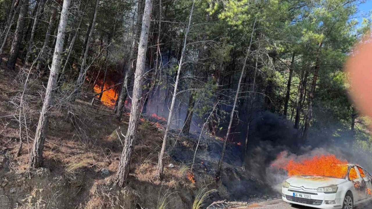 Araçtaki yangın ormana sıçradı