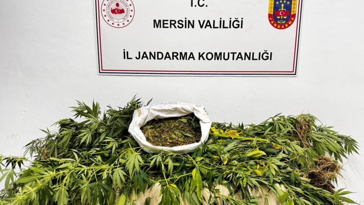 Mersin’de uyuşturucu operasyonu