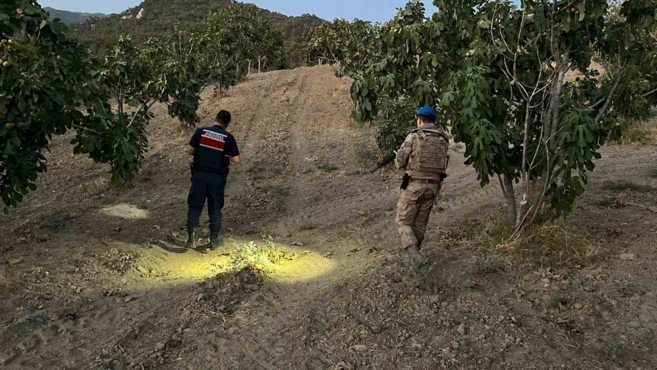 Jandarma incir hırsızlarına geçit vermiyor