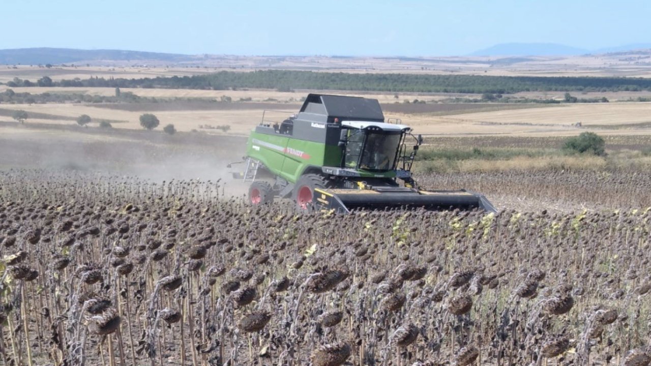 Manyas’ta ayçiçeği hasadı başladı
