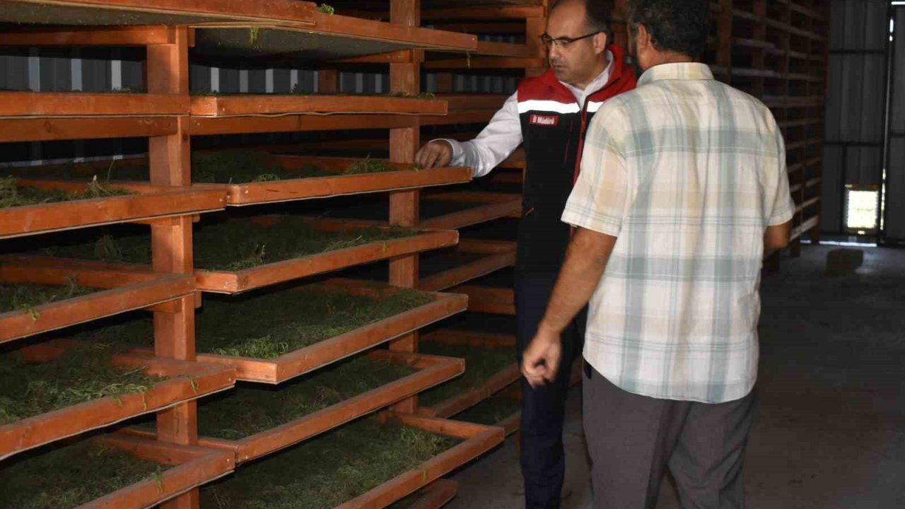 Bayburt’ta Tarhun Kurutma Tesisi ve üretim alanları incelendi