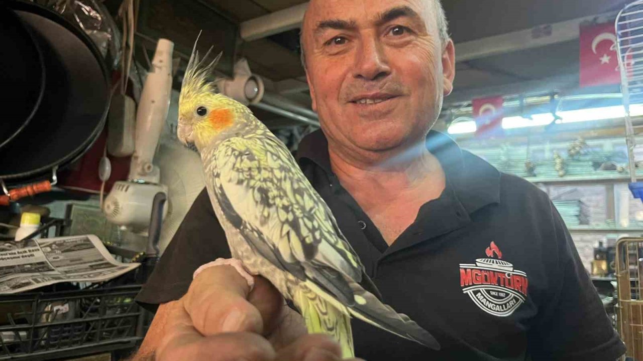 Soba ve mangal ustası Mustafa Göktürk’ün kuş sevgisi