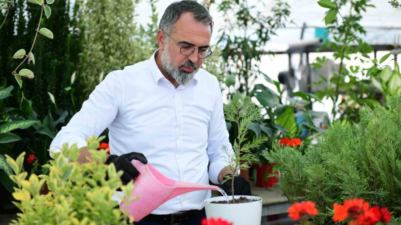 Türkiye’nin süs bitki ihtiyacının yüzde 60’ını karşılayan Kestel, gövde gösterisine hazırlanıyor