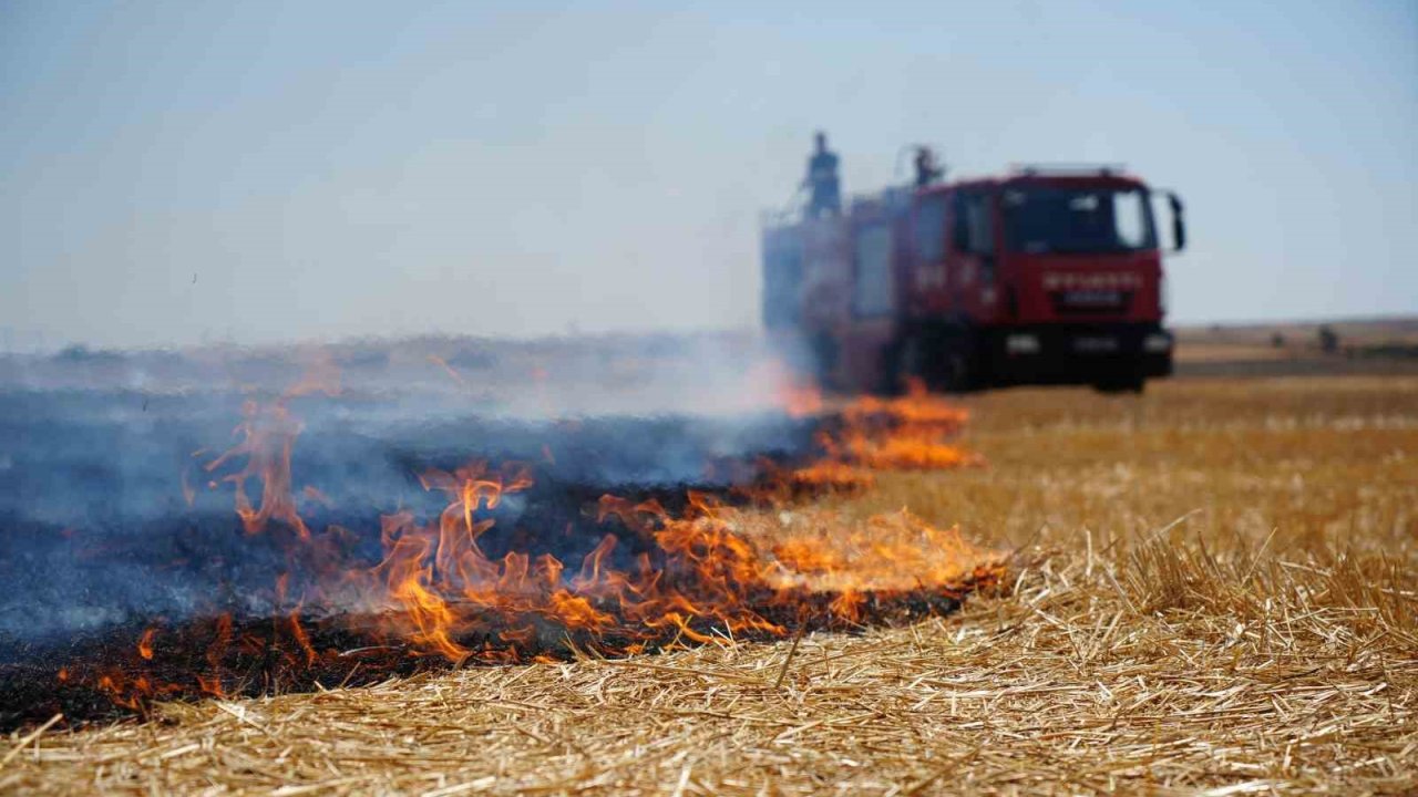 Edirne’de anız yangını
