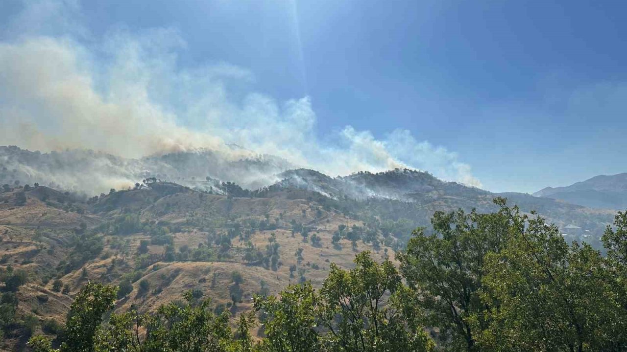 Bingöl’deki orman yangını kontrol altına alındı