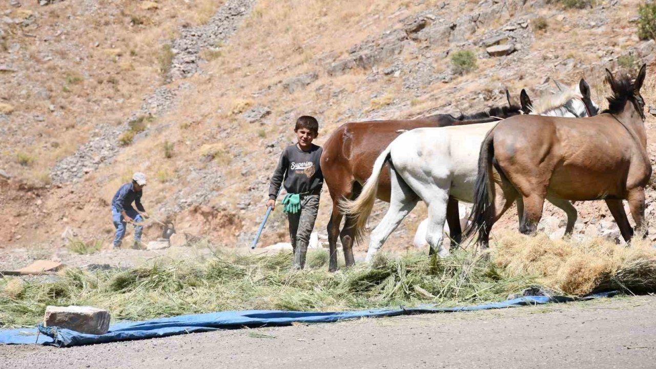 Katırlarla kışa hazırlık
