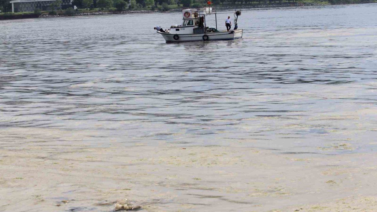 Marmara’nın küçük balıkçılarına "müsilaj" desteği geliyor