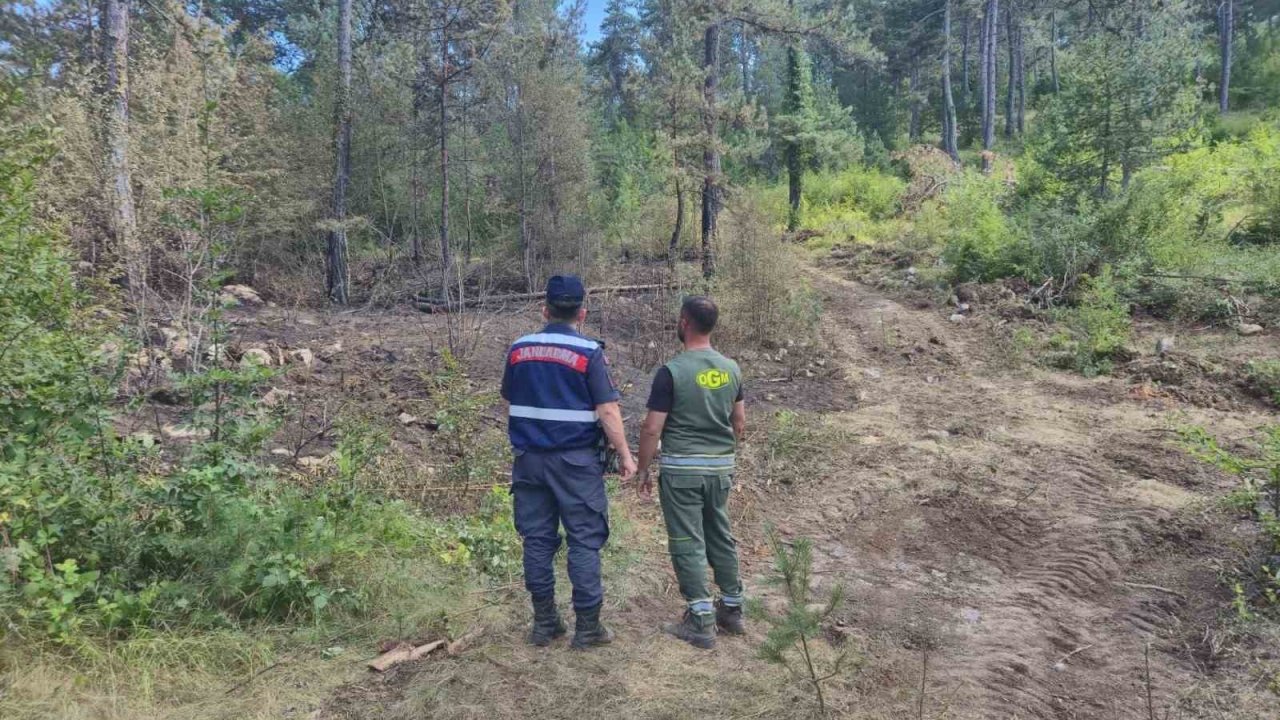 Sinop’ta jandarma orman yangınlarına karşı teyakkuzda