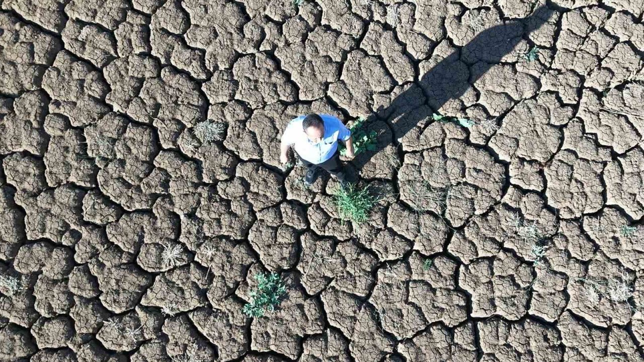 Sular çekildi, kuraklık göleti çorak araziye dönüştürdü