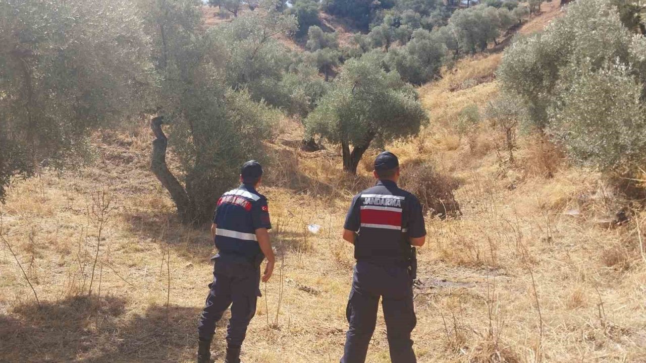 Jandarmadan hava destekli orman denetimi