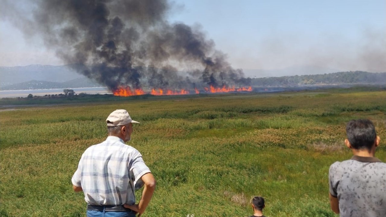 Beyşehir’de sazlık alanda çıkan yangın havadan müdahale ile söndürüldü