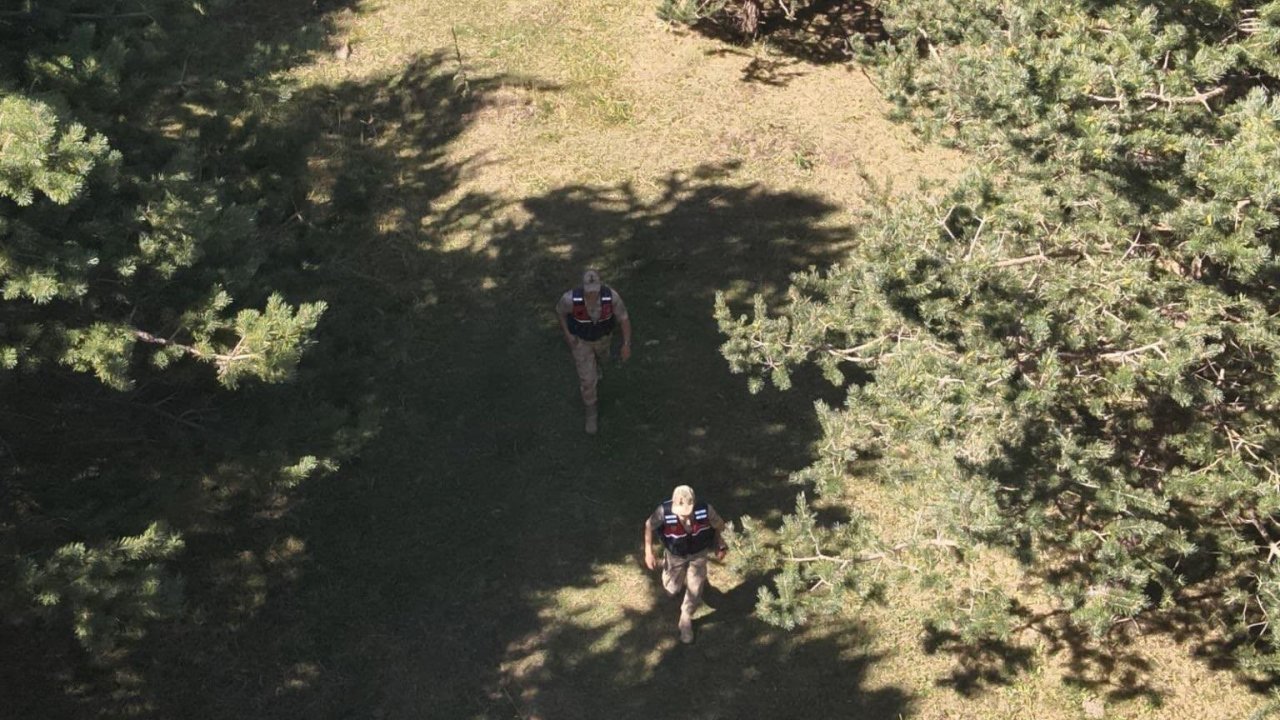 Ardahan’da jandarma ekipleri ormanlık alanlarda denetimlerini sıklaştırdı