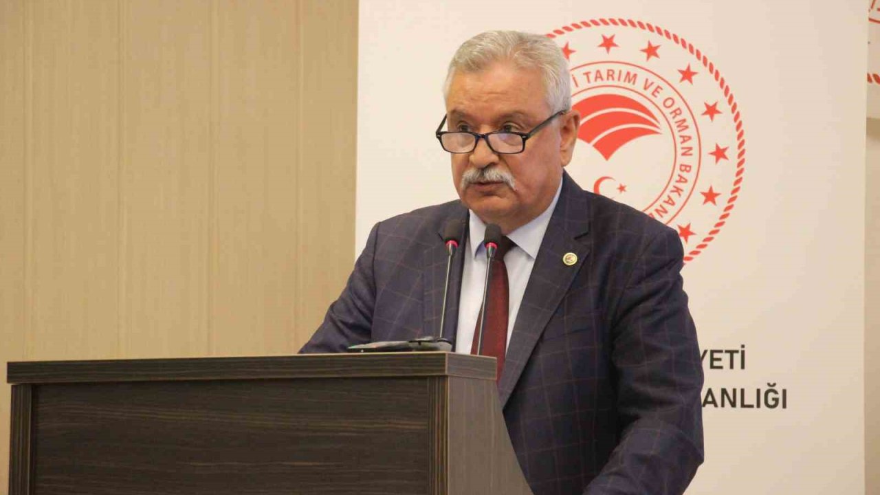 Başkan Kendirlioğlu: "İncir ağaçları tescillenmeli"
