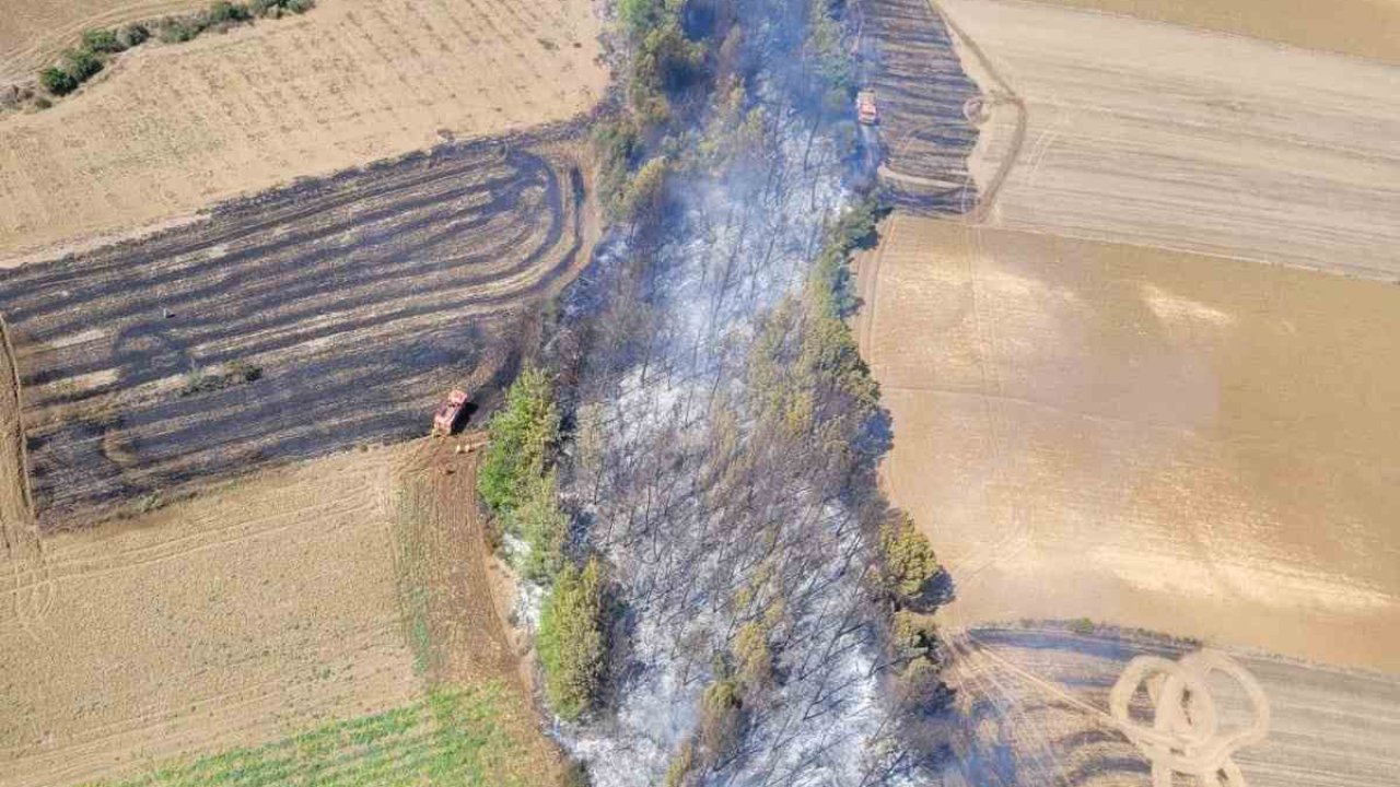 Adana’da çıkan orman yangını kontrol altına alındı