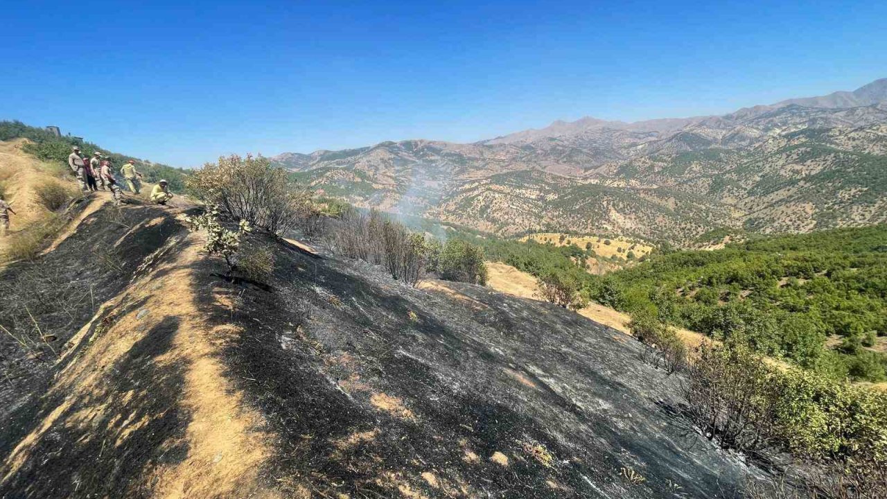Diyarbakır’da üç farklı noktada çıkan yangınlar kontrol altına alındı