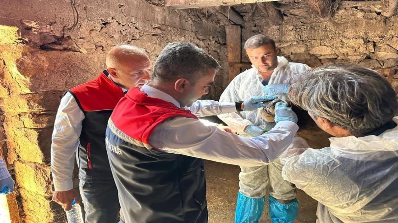 Erzurum’da hastalık takibi kararlılıkla devam ediyor